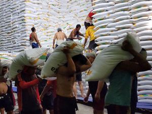 Kemarau Basah Picu Penurunan Produksi Gula PG Mojopanggung Kemarau Basah Picu Penurunan Produksi Gula PG Mojopanggung