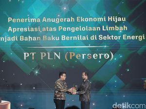 Sederet Strategi PLN untuk Dukung Transisi Energi Berkelanjutan
