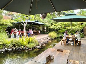 Kicauan Burung Jadi Pengganti Musik yang Menghilang di Restoran Bandung Kicauan Burung Jadi Pengganti Musik yang Menghilang di Restoran Bandung