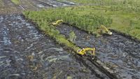 Pacu Produksi Pangan, Kementan Targetkan Cetak 30 Ribu Hektare Sawah di Kalsel