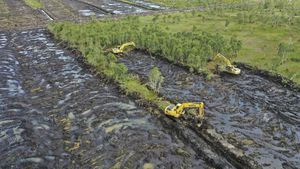 Pacu Produksi Pangan, Kementan Targetkan Cetak 30 Ribu Hektare Sawah di Kalsel