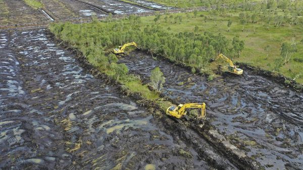 Pacu Produksi Pangan, Kementan Targetkan Cetak 30 Ribu Hektare Sawah di Kalsel