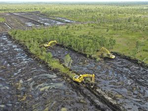 Pacu Produksi Pangan, Kementan Targetkan Cetak 30 Ribu Hektare Sawah di Kalsel Pacu Produksi Pangan, Kementan Targetkan Cetak 30 Ribu Hektare Sawah di Kalsel