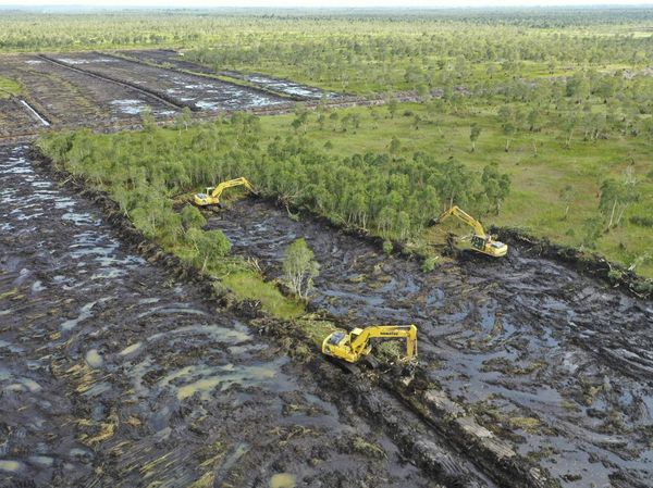 Pacu Produksi Pangan, Kementan Targetkan Cetak 30 Ribu Hektare Sawah di Kalsel