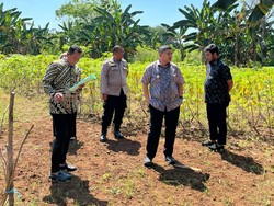 Appi Bakal Bikin Taman Kota-Pusat Olahraga di Antang Makassar