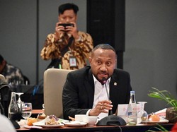 Dukung Prabowo, Legislator Desak Menteri ESDM Tertibkan Tambang Ilegal di Papua