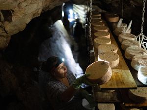 Dari Gua Batu Kapur, Lahir Keju Cabrales Termahal di Dunia Dari Gua Batu Kapur, Lahir Keju Cabrales Termahal di Dunia