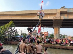 Menantang! Momen Lomba Panjat Pinang yang Jadi Primadona di Kalimalang