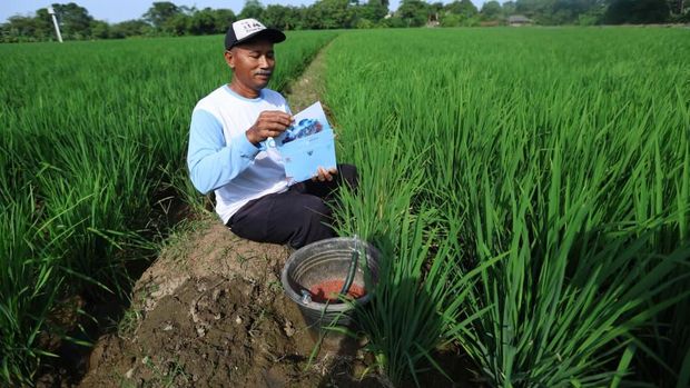 Nelayan hingga petani dapat undangan HUT ke-80 RI di Istana Merdeka.