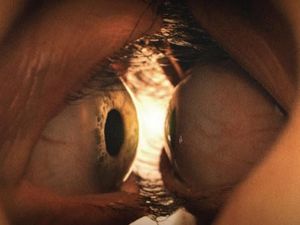 Together: Kisah Cinta Yang Mengerikan