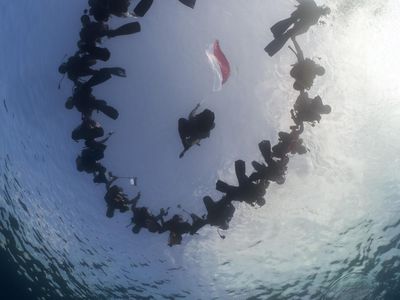 Momen PIS Gelar Upacara Bendera di Bawah Laut-Transplantasi Terumbu Karang