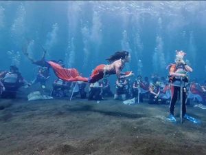 HUT RI Ke-80, Ketua Umum WASI Harap Maluku Utara Jadi Destinasi Wisata Laut HUT RI Ke-80, Ketua Umum WASI Harap Maluku Utara Jadi Destinasi Wisata Laut