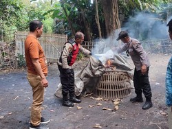 Polisi Gerebek Arena Sabung Ayam di Sidoarjo, Pelaku Kabur Duluan
