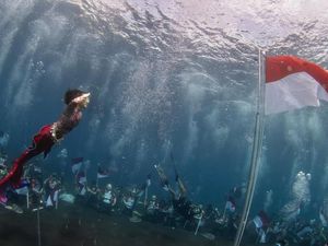 Untuk Kado HUT Ke-80 RI, Gubernur Sherly Kibarkan Merah Putih di Bawah Laut Maluku Untuk Kado HUT Ke-80 RI, Gubernur Sherly Kibarkan Merah Putih di Bawah Laut Maluku
