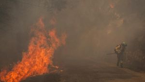 Hutan Galicia Dilalap Api, Petugas Berjuang Padamkan Kebakaran