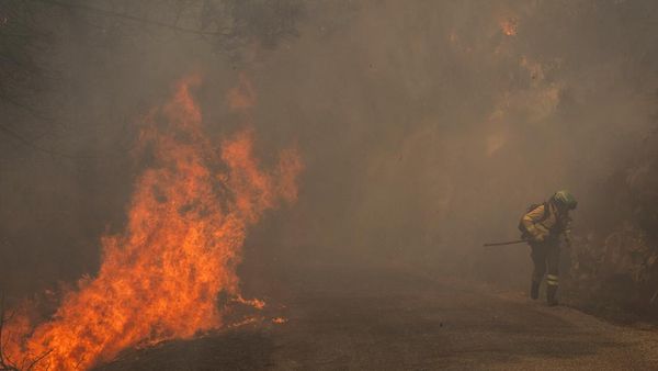 Hutan Galicia Dilalap Api, Petugas Berjuang Padamkan Kebakaran