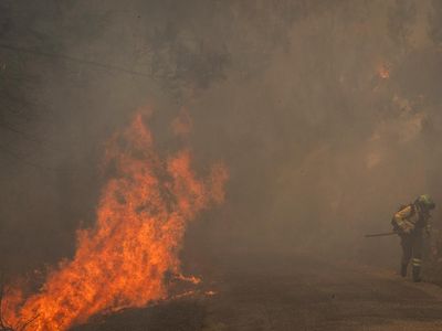 Hutan Galicia Dilalap Api, Petugas Berjuang Padamkan Kebakaran