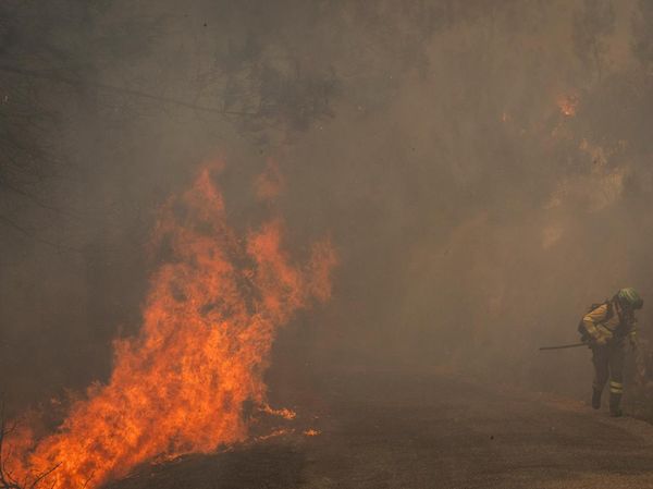 Hutan Galicia Dilalap Api, Petugas Berjuang Padamkan Kebakaran