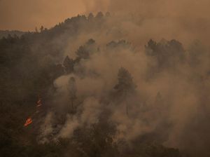 1.640 Hektar Hutan di Spanyol Kebakaran Akibat Cuaca Panas 1.640 Hektar Hutan di Spanyol Kebakaran Akibat Cuaca Panas