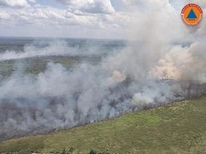 Belasan Hektare Lahan di 3 Kabupaten Sumsel Terbakar, OKI Masih Berasap