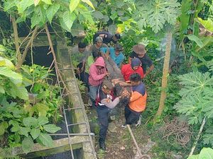 Diduga Mabuk, Buruh Proyek Terperosok ke Jurang di Ubud Diduga Mabuk, Buruh Proyek Terperosok ke Jurang di Ubud