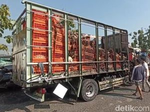 Truk Muat Ayam Terbakar di Tol Ngawi, 2.000 Ekor Terpanggang-2 Luka Truk Muat Ayam Terbakar di Tol Ngawi, 2.000 Ekor Terpanggang-2 Luka