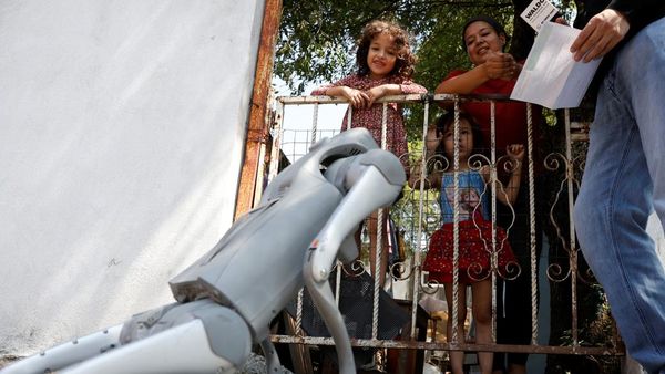 Aksi Anjing Robot Kampanyekan Peduli Hewan Terlantar di Meksiko