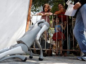 Aksi Anjing Robot Kampanyekan Peduli Hewan Terlantar di Meksiko Aksi Anjing Robot Kampanyekan Peduli Hewan Terlantar di Meksiko