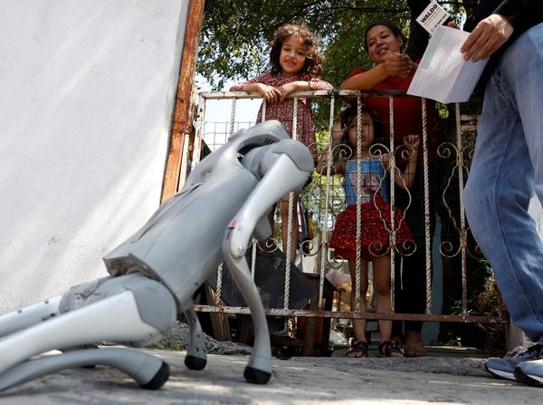 Aksi Anjing Robot Kampanyekan Peduli Hewan Terlantar di Meksiko