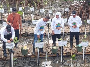 Khofifah Tanam Mangrove, Lepas Burung & Kepiting di Pantai Bahak Probolinggo Khofifah Tanam Mangrove, Lepas Burung & Kepiting di Pantai Bahak Probolinggo