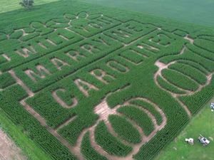 Kreatif dan Romantis! Pria Bikin Labirin di Ladang Jagung untuk Melamar Pacar Kreatif dan Romantis! Pria Bikin Labirin di Ladang Jagung untuk Melamar Pacar