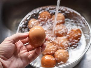 Apakah Telur Ayam Perlu Dicuci? Begini Idealnya Kata Pakar Apakah Telur Ayam Perlu Dicuci? Begini Idealnya Kata Pakar