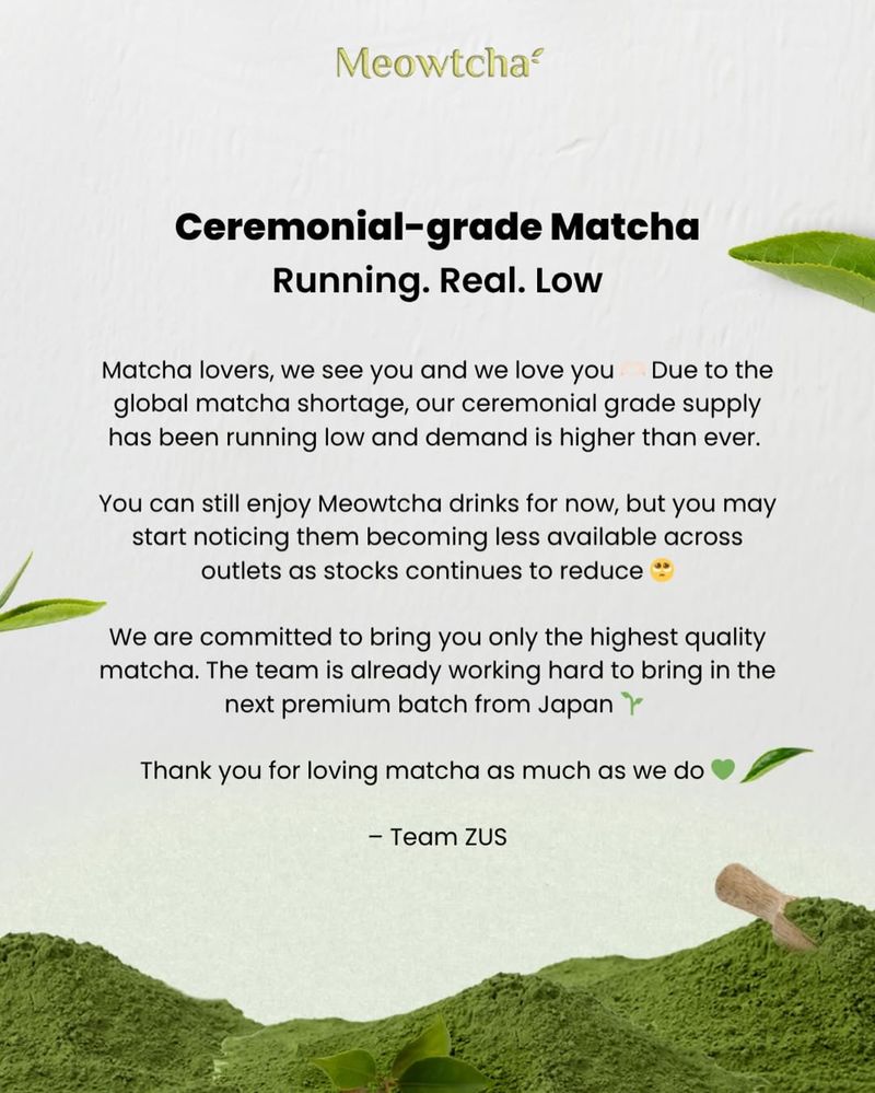 matcha langka secara global memengaruhi penjualan Niko Neko dan ZUS Coffee di Malaysia