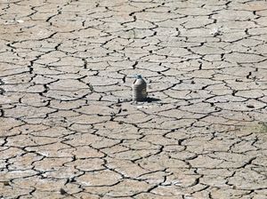 Suhu Panas Ekstrem Picu Perilaku Aneh Hewan Suhu Panas Ekstrem Picu Perilaku Aneh Hewan