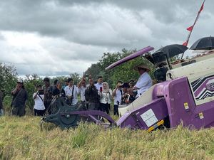 Wamen Transmigrasi Panen Raya di Batola dan Beri Bantuan Rp 4,8 Miliar