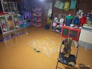 Banjir Landa 5 Desa di Kapuas, Belasan Rumah Terseret Arus