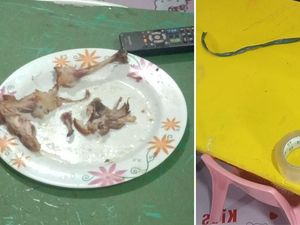 Bobol Tempat Penitipan Anak, Pencuri Ini Hanya Melahap Habis Ayam Goreng Bobol Tempat Penitipan Anak, Pencuri Ini Hanya Melahap Habis Ayam Goreng