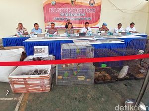 Polda Kepri Gagalkan Penyelundupan 2.020 Telur Penyu-Satwa Dilindungi Polda Kepri Gagalkan Penyelundupan 2.020 Telur Penyu-Satwa Dilindungi