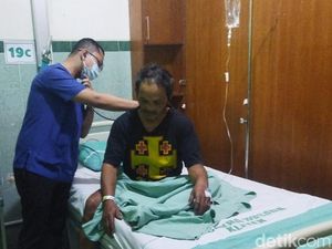 Warga Gemampir Klaten Pingsan Diserang Tawon Gung Saat Tebang Bambu Warga Gemampir Klaten Pingsan Diserang Tawon Gung Saat Tebang Bambu