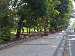 Pemkot Mataram Anggarkan Rp 200 Juta untuk Percantik Taman Udayana Pemkot Mataram Anggarkan Rp 200 Juta untuk Percantik Taman Udayana
