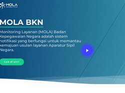 Jadwal dan Cara Cek Pengusulan PPPK Paruh Waktu 2025, Formasi, hingga Gajinya