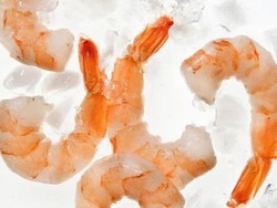 Udang Beku dari RI Terpapar Zat Radioaktif, dari Mana Kontaminasi Muncul?