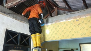 Kaget! Warga Bogor Temukan Ular Sanca di Plafon Kamar Mandi