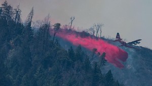 Kebakaran Hutan Hanguskan 1.309 Hektare di California