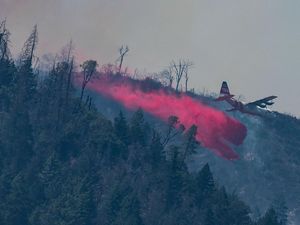 Kebakaran Hutan Hanguskan 1.309 Hektare di California