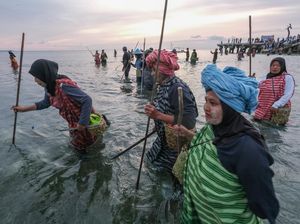 Perempuan Wakatobi Lestarikan Tradisi Hekente, Menombak Ikan dengan Alat Tradisional Perempuan Wakatobi Lestarikan Tradisi Hekente, Menombak Ikan dengan Alat Tradisional
