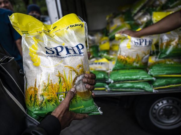 Realisasi Distribusi Beras SPHP Mencapai 239,5 Ribu Ton