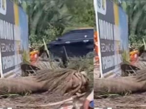 Warga Mempawah Tewas Tertimpa Pohon Usai Melayat, Diduga Akibat Proyek