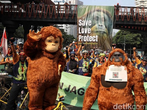Aktivis dan Komunitas Sepeda Ajak Publik Selamatkan Orangutan