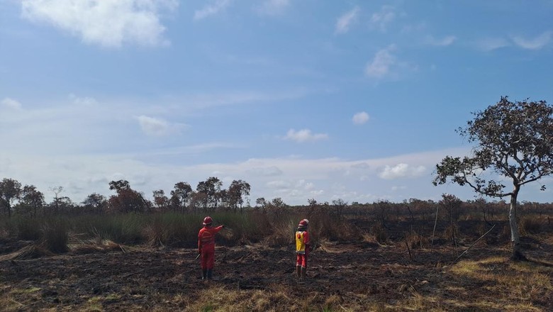 Lahan Bergambut yang Terbakar dan Asap Tebal di OKI Padam